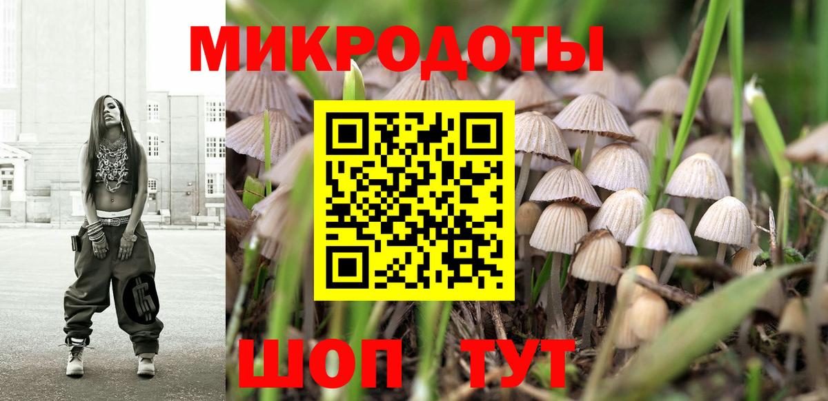 Губкинский  где купить наркоту  Вход с VPN  Псилоцибиновые грибы Psilocybine cubensis 