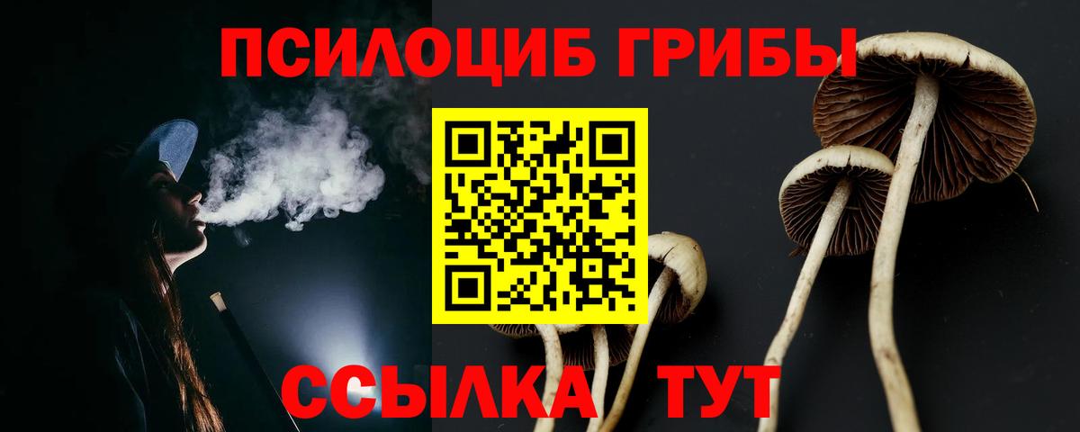 Псилоцибиновые грибы MAGIC MUSHROOMS Губкинский